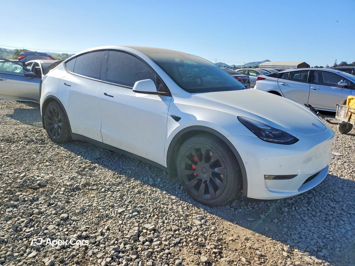 Tesla Model Y 2021