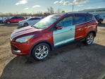 Ford Escape 2014