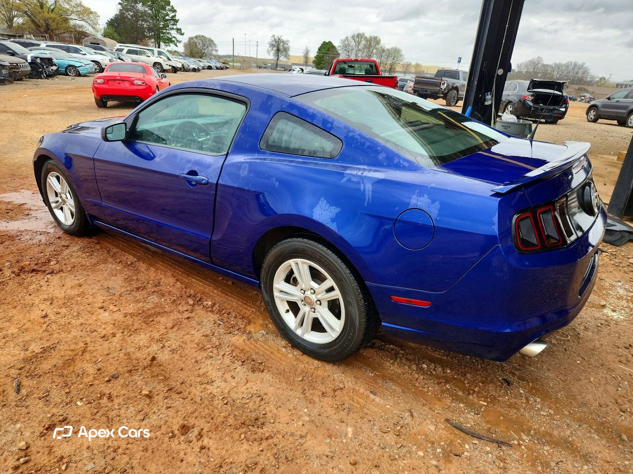 Ford Mustang 2013