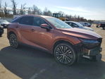 Lexus RX 2023