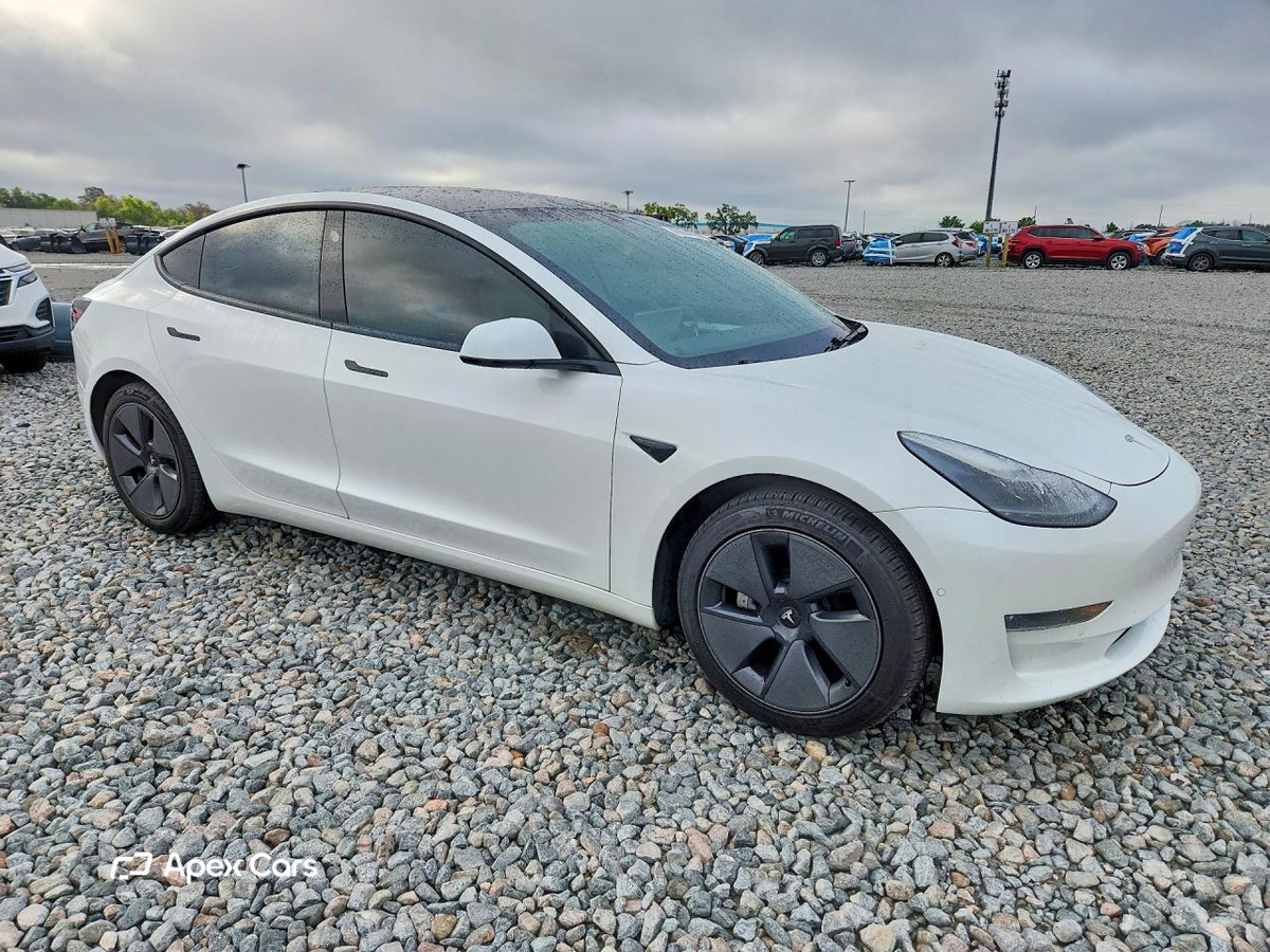 Tesla Model 3 2021