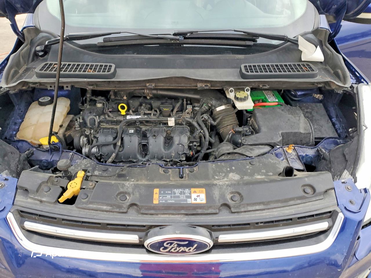 Ford Escape 2013