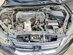Honda Accord 2013