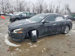 Nissan Maxima 2010