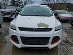 Ford Escape 2016