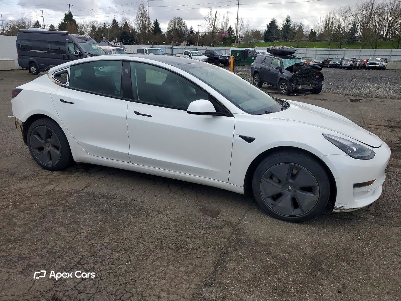 Tesla Model 3 2021