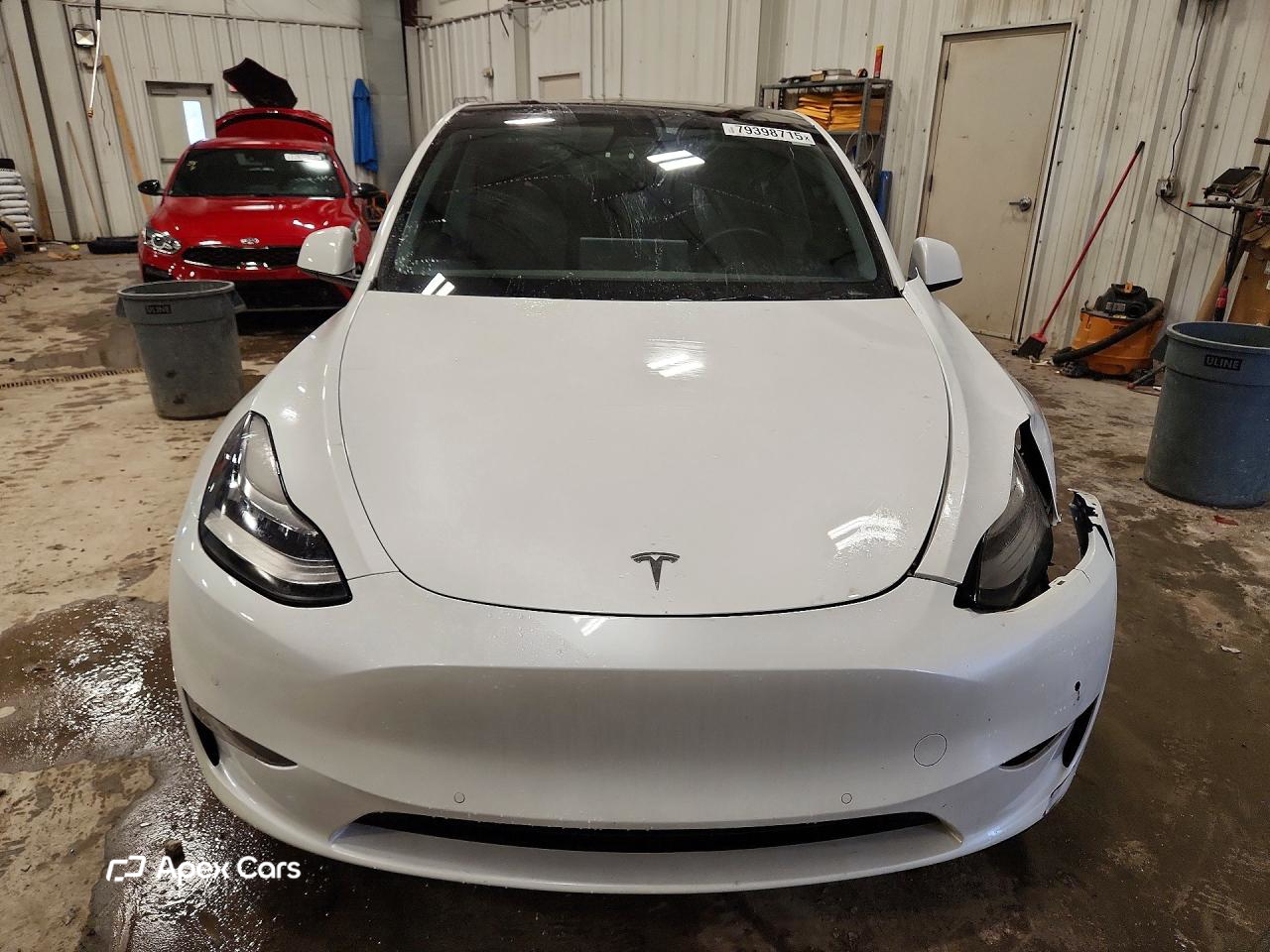 Tesla Model Y 2021