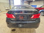 Lexus ES 2008