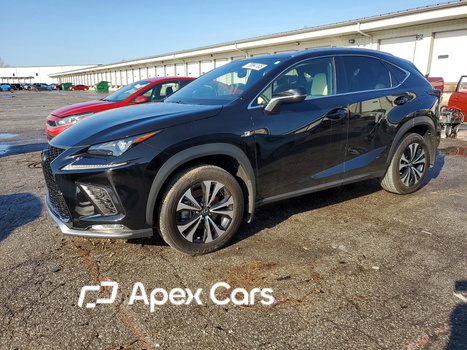 Lexus NX 2021 - Zdjęcie 1 z 13