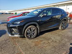 Lexus NX 2021