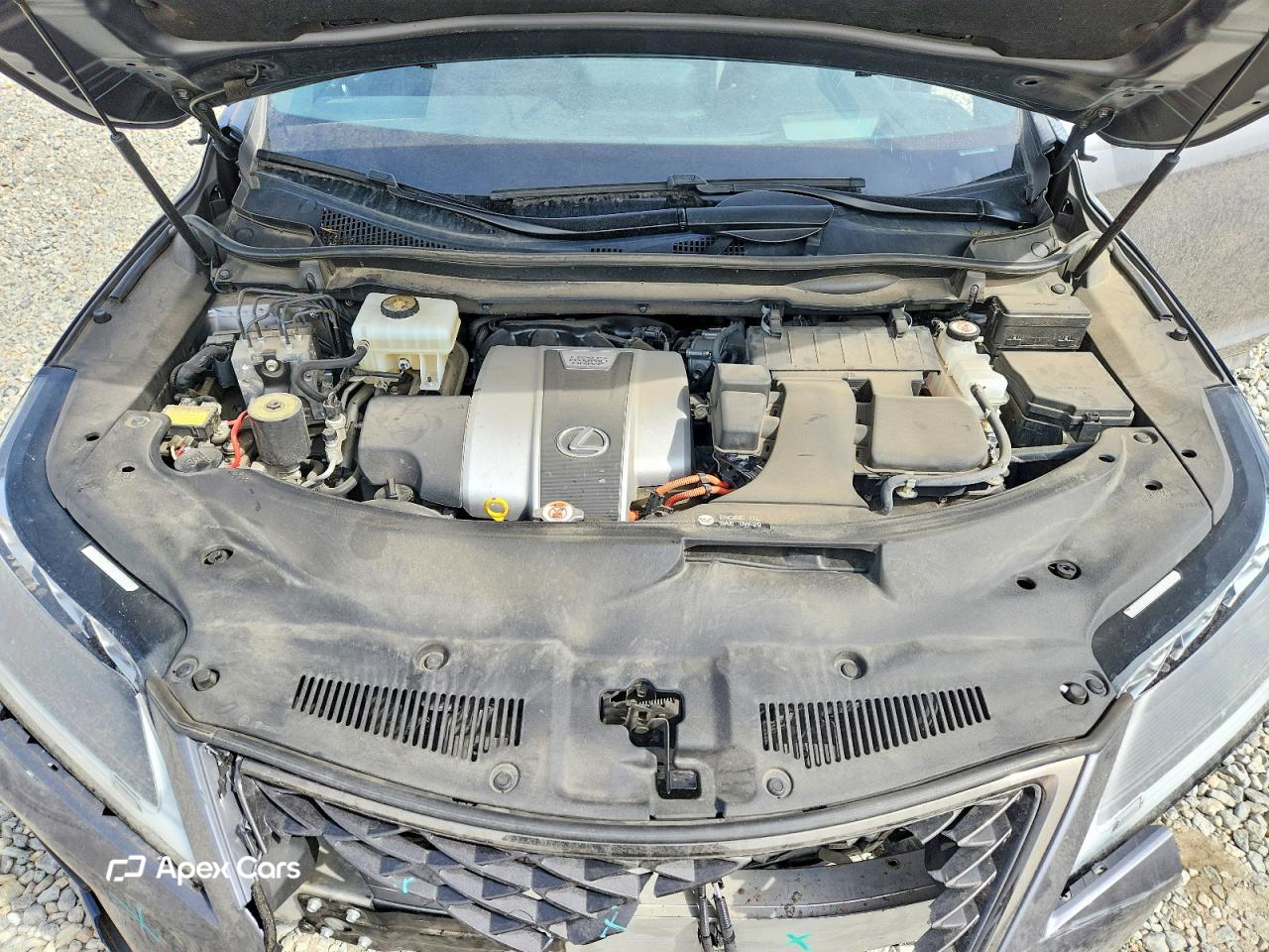 Lexus RX 2022
