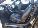 Ford Mustang 2009