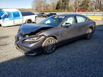 Lexus ES 2019