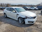 Kia Optima 2013