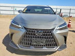 Lexus NX 2024