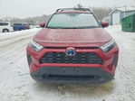 Toyota RAV 4 2024
