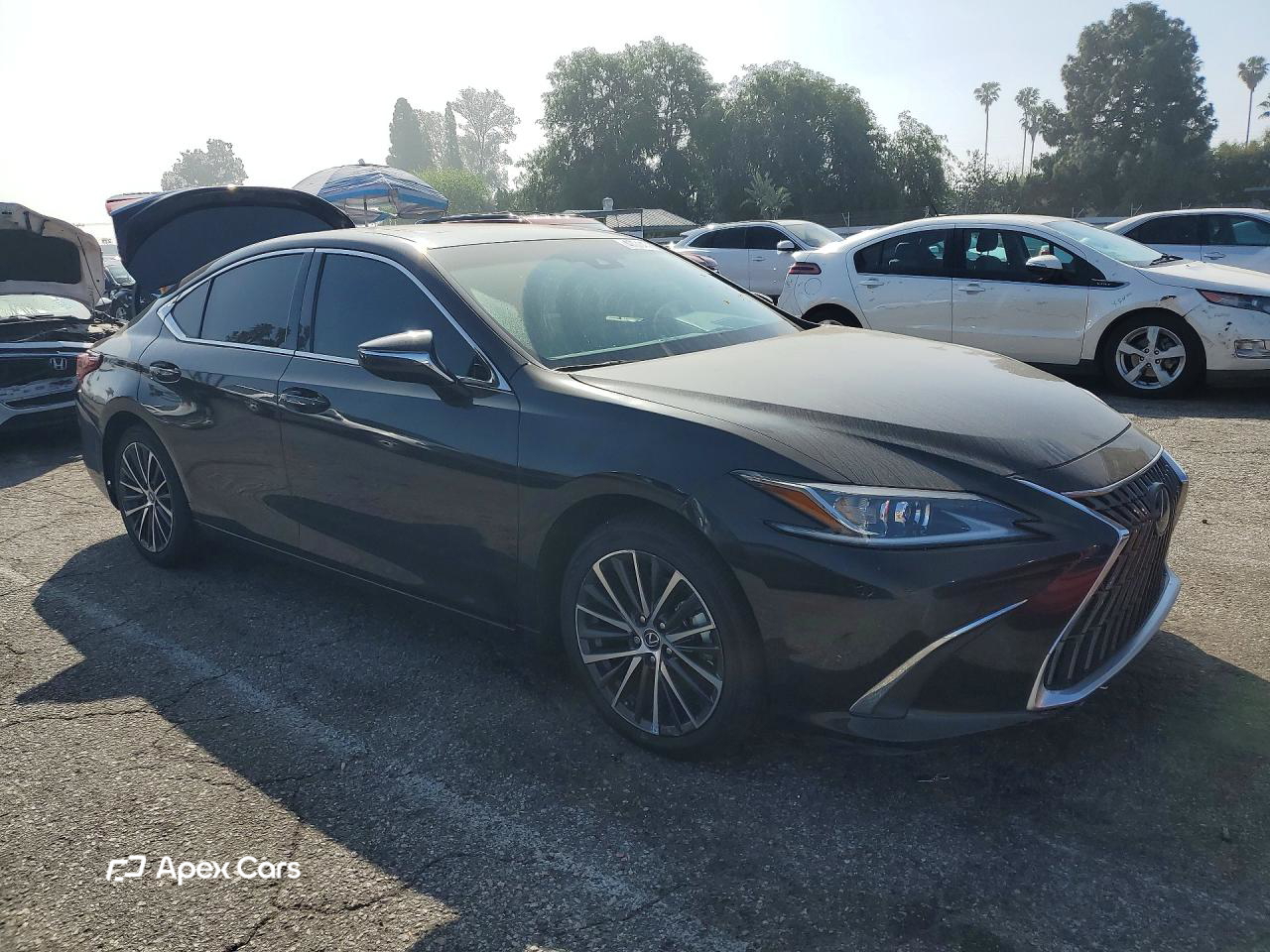 Lexus ES 2024