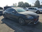 Lexus ES 2024