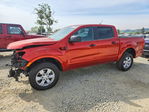 Ford Ranger 2019
