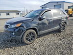 Kia Sorento 2013