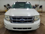 Ford Escape 2009