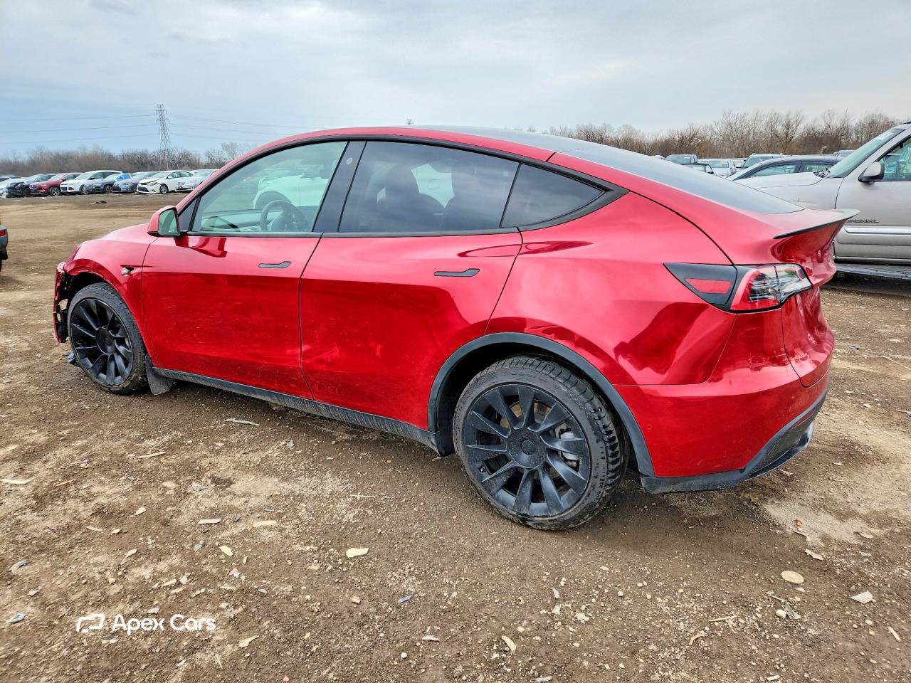 Tesla Model Y 2021