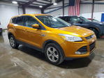 Ford Escape 2016