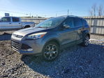 Ford Escape 2013
