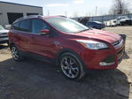 Ford Escape 2016
