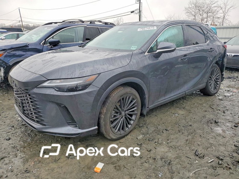Lexus RX 2024 - Image 1 of 13