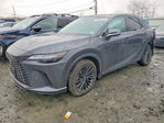 Lexus RX 2024