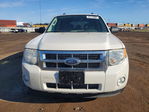 Ford Escape 2009
