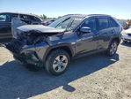 Toyota RAV 4 2025