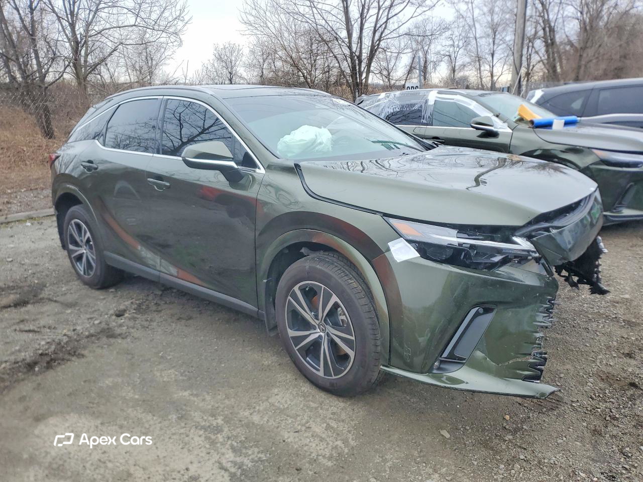 Lexus RX 2025