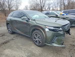 Lexus RX 2025