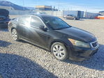 Honda Accord 2010