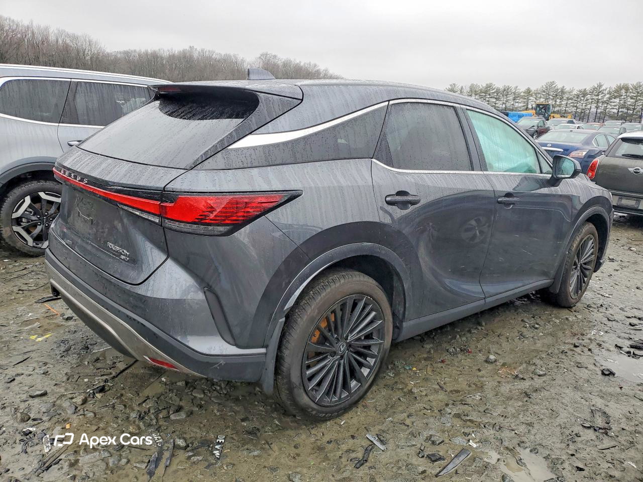 Lexus RX 2024