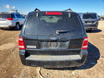 Ford Escape 2009