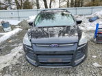 Ford Escape 2013