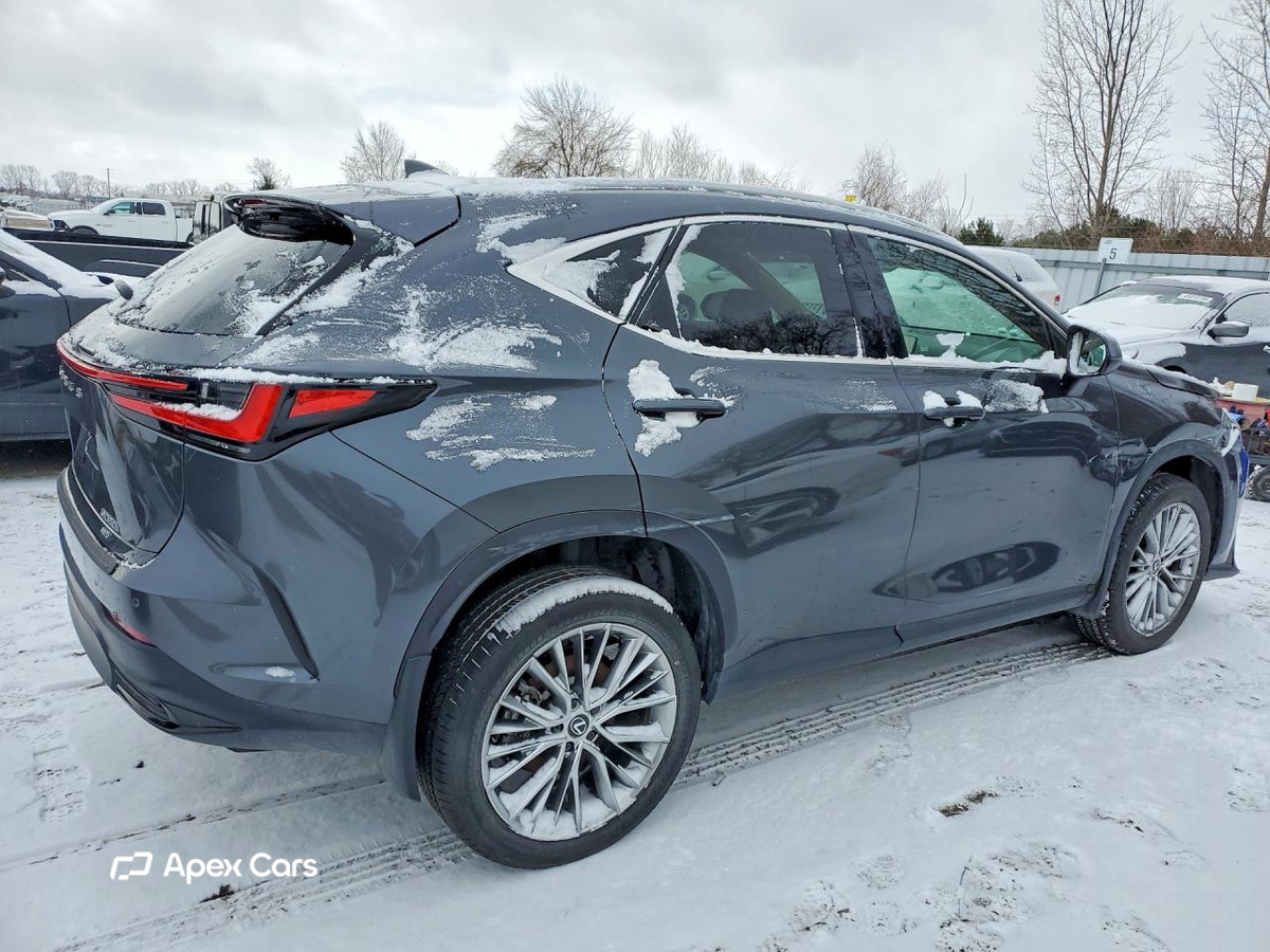 Lexus NX 2025
