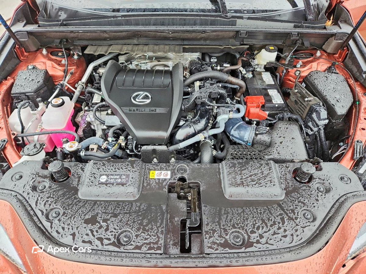 Lexus NX 2025