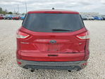 Ford Escape 2016