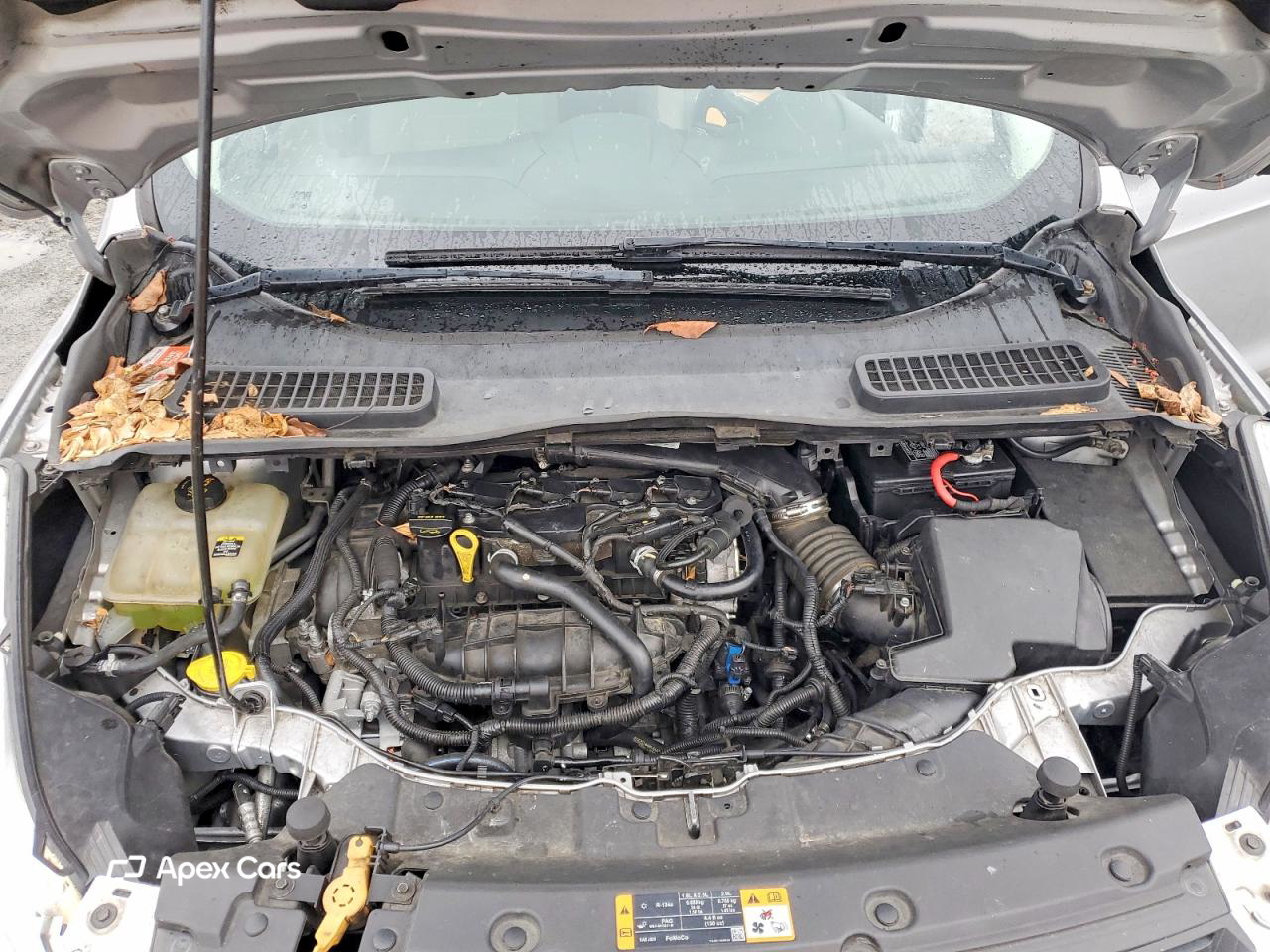 Ford Escape 2013