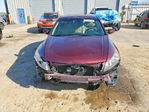 Honda Accord 2011