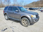 Ford Escape 2011