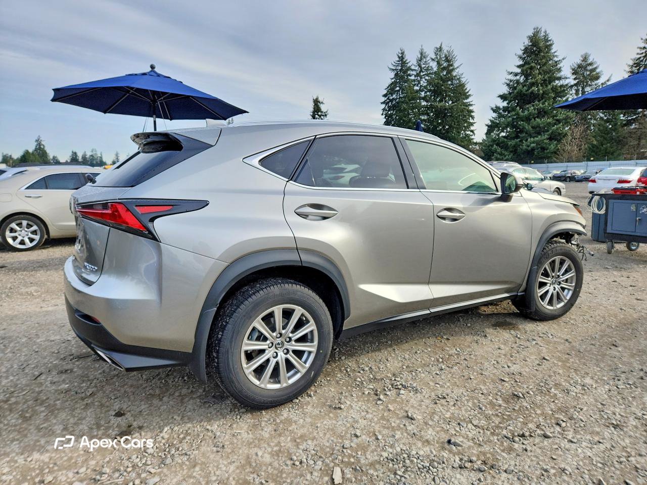 Lexus NX 2021