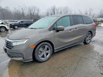 Honda Odyssey 2021