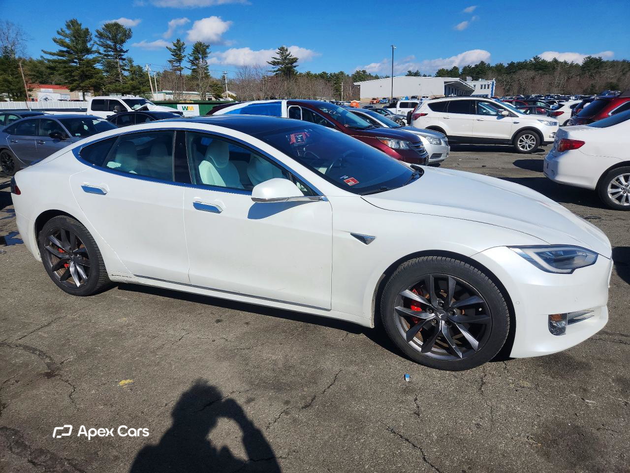 Tesla Model S 2019