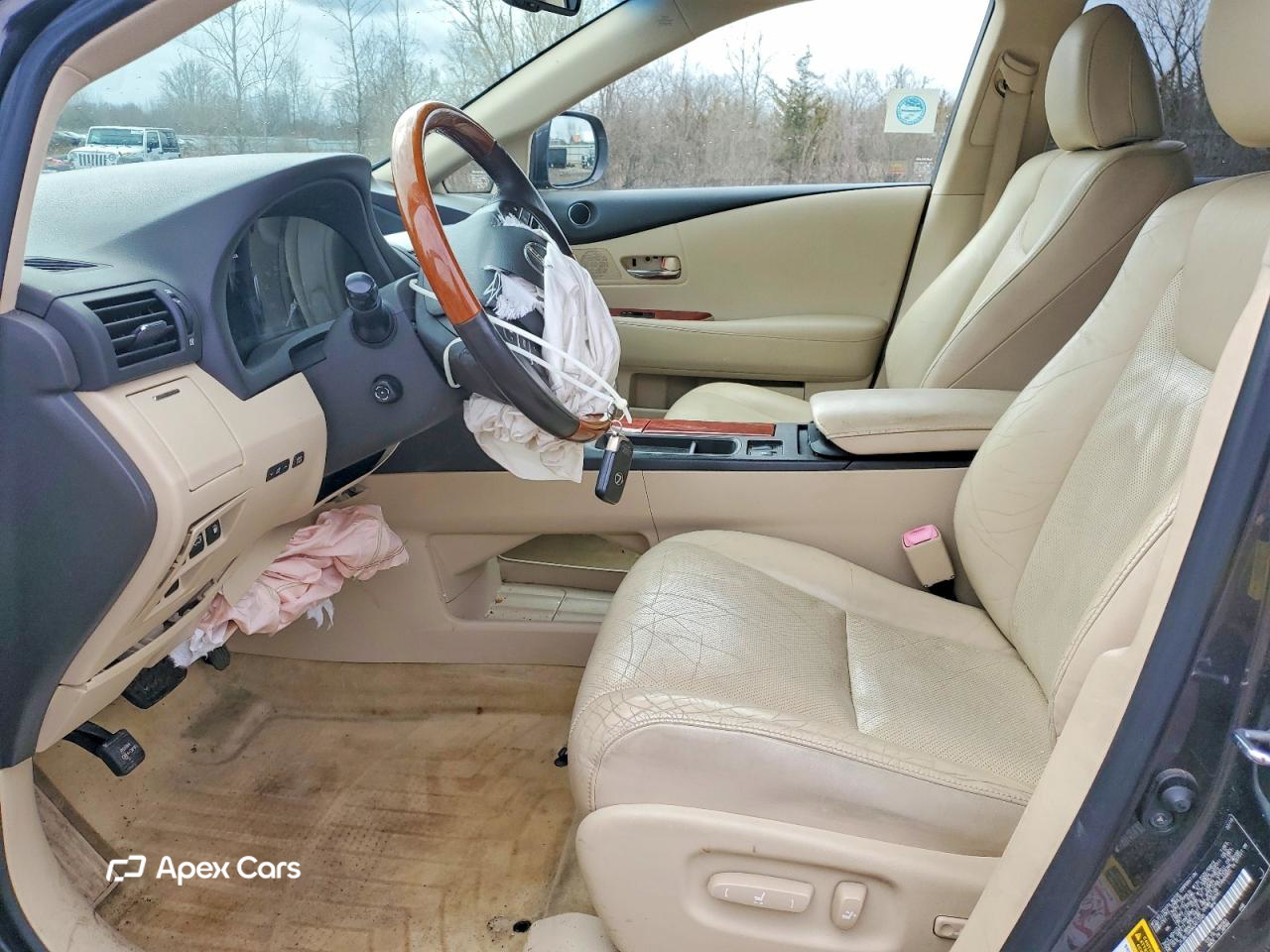 Lexus RX 2010