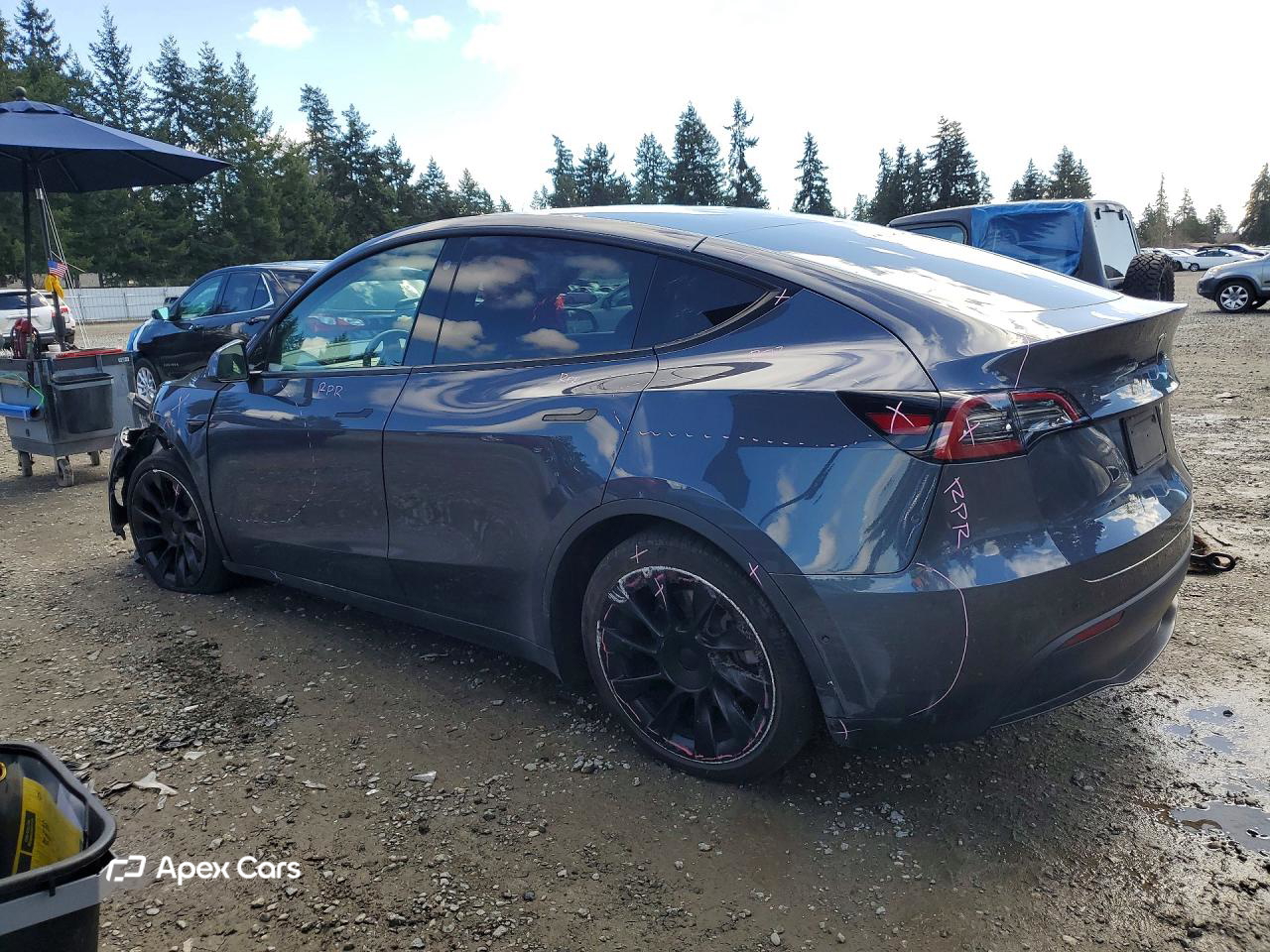 Tesla Model Y 2021